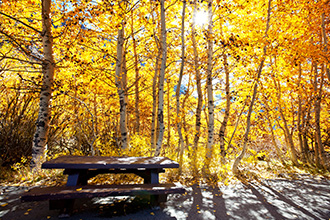 숙소에서 차로 10분거리 사계절 아름다운 풍경을 자랑하는 여행지입니다. 사계절 아름다운 풍경을 자랑하는 여행지입니다. 사계절 아름다운 풍경을 자랑하는 여행지입니다.