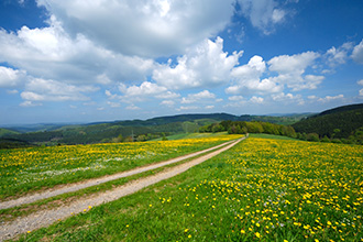 숙소에서 차로 10분거리 사계절 아름다운 풍경을 자랑하는 여행지입니다. 사계절 아름다운 풍경을 자랑하는 여행지입니다. 사계절 아름다운 풍경을 자랑하는 여행지입니다.