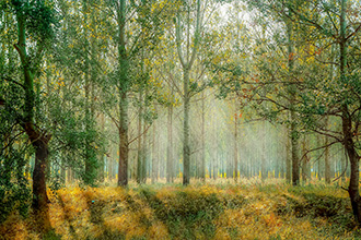 숙소에서 차로 10분거리 사계절 아름다운 풍경을 자랑하는 여행지입니다. 사계절 아름다운 풍경을 자랑하는 여행지입니다. 사계절 아름다운 풍경을 자랑하는 여행지입니다.